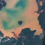 Astronaut on the ISS discovers a sacred Lake Tana has turned from blue to toxic green. Credit: NASA