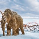 1.1-million-year-old mammoth found in Siberia with oldest microbial DNA ever identified
