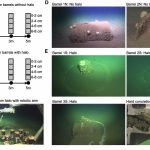 What is hidden in the barrels off the coast of Los Angeles is so toxic that not even bacteria can survive