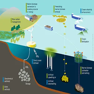 A schematic overview of marine carbon dioxide removal (mCDR) methods included in the newly published Future Science Brief from the European Marine Board. Credit: Rita Erven, GEOMAR
