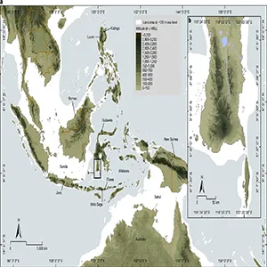 (A) The location of Sulawesi within the Wallacean archipelago (Wallacea)—the zone of oceanic islands between the Asian and Australian continental regions (Sunda and Sahul, respectively). MSL, mean sea level. (B) The southwestern peninsula of Sulawesi, showing the locations of the Talepu (1) and Calio (2) sites on opposite sides of the Walanae River. Credit: Nature