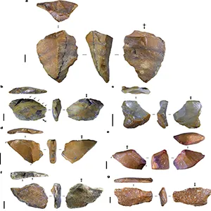 Stone tools and artefacts on Sulawesi recovered from Early Pleistocene deposits at Calio. Credit: Nature