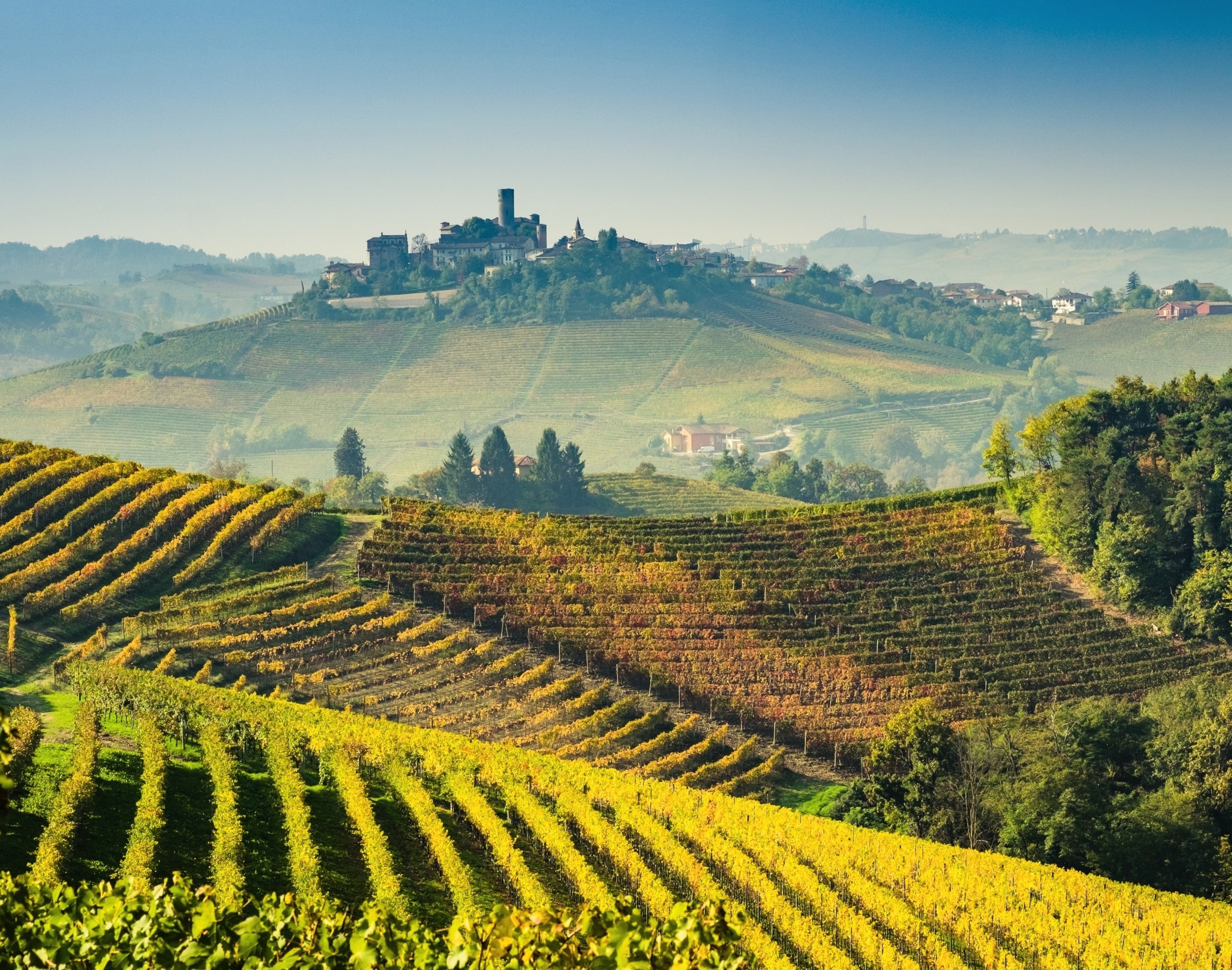 Ancient winemakers used a secret ingredient, and it wasn’t grapes - Earth.com