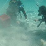 A diver discovers one of the greatest treasures of the Roman Empire