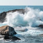 Microplastics are spreading superbugs from sewage to the sea