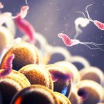 New gut microbiome study connect obesity with certain types of cancer
