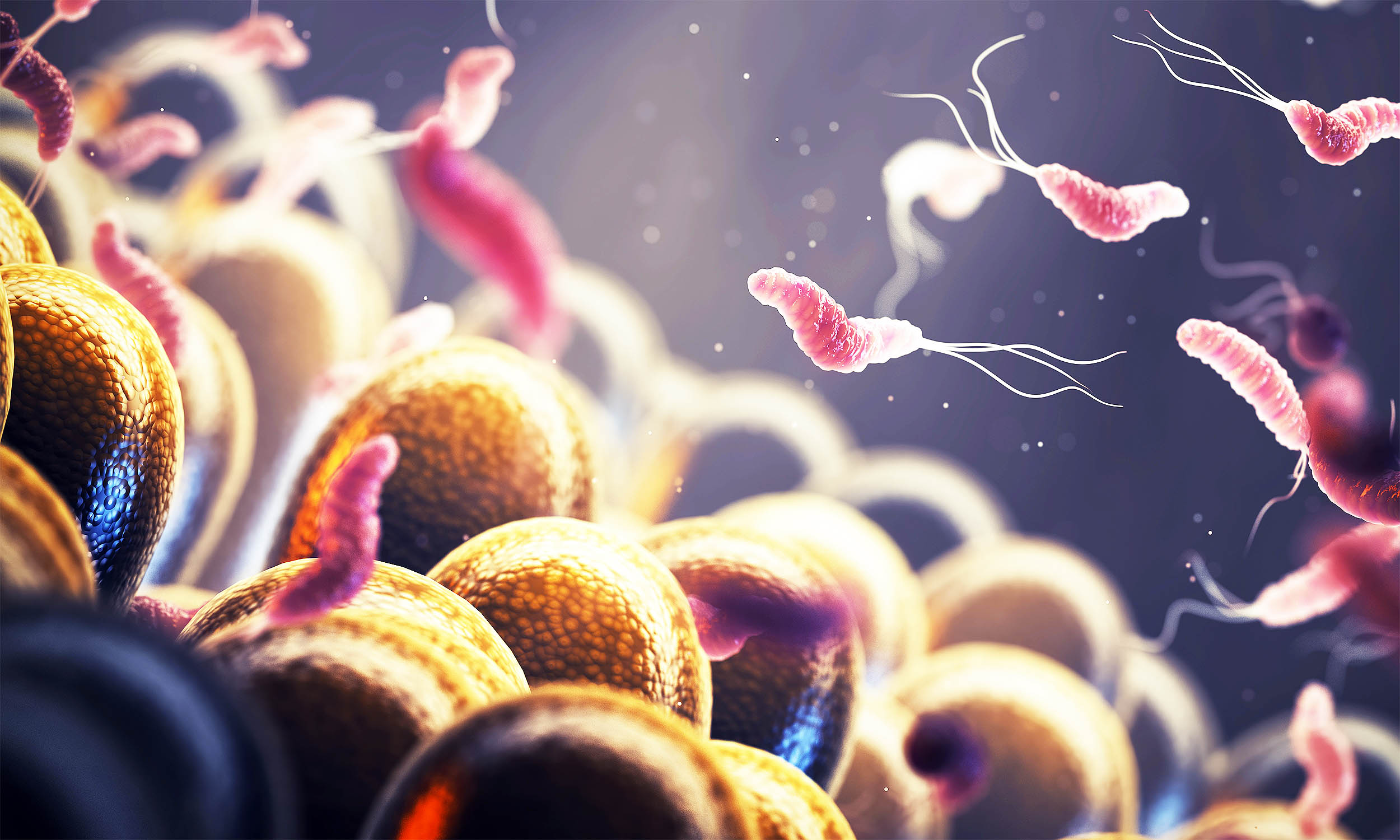 New gut microbiome study connect obesity with certain types of cancer