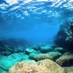 How the ocean locks away carbon for millions of years