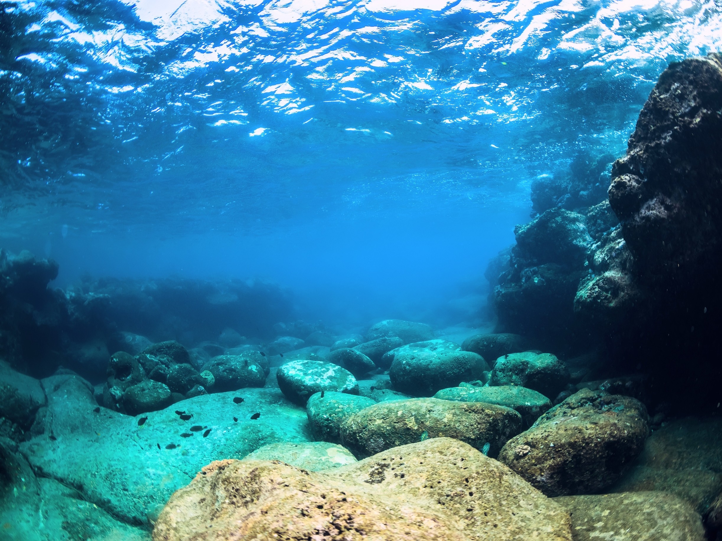 How the ocean locks away carbon for millions of years
