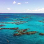 This is the only sea on Earth that has no 'shore' because it never touches land, Sargasso Sea