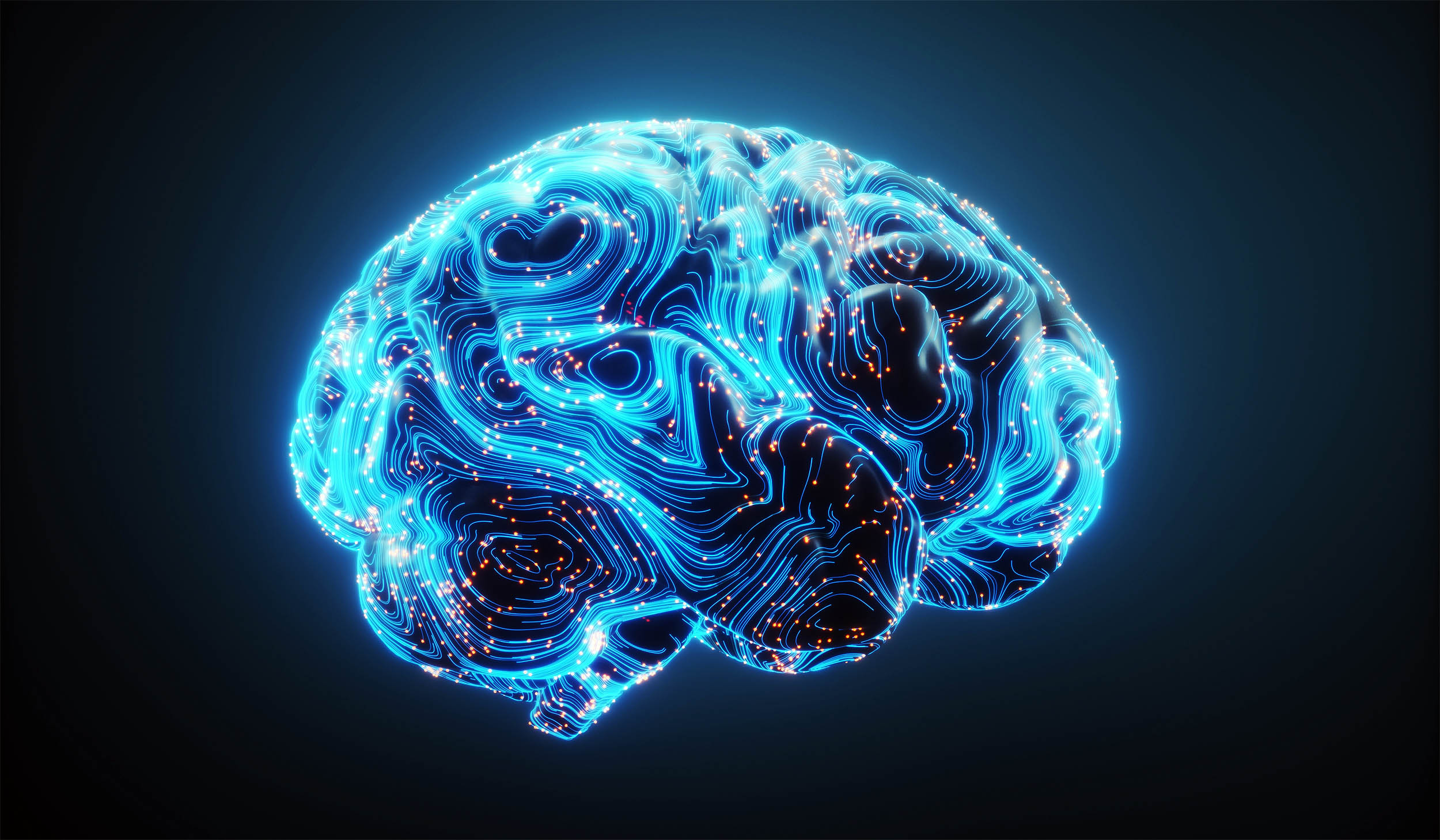 Humans may be born with preconfigured brains that help us understand the world - Earth.com