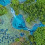 Earth’s future carbon sink is weaker than climate models assume