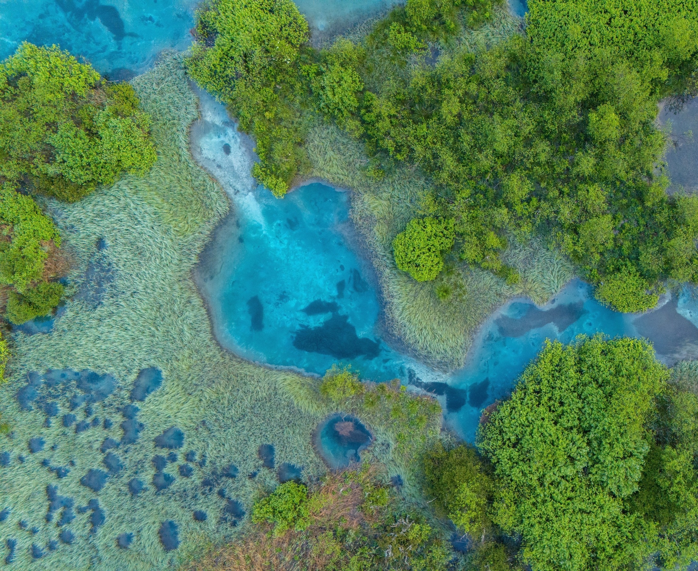 Earth’s future carbon sink is weaker than climate models assume