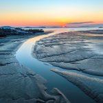 Coastal restoration may get a boost from biodegradable concrete