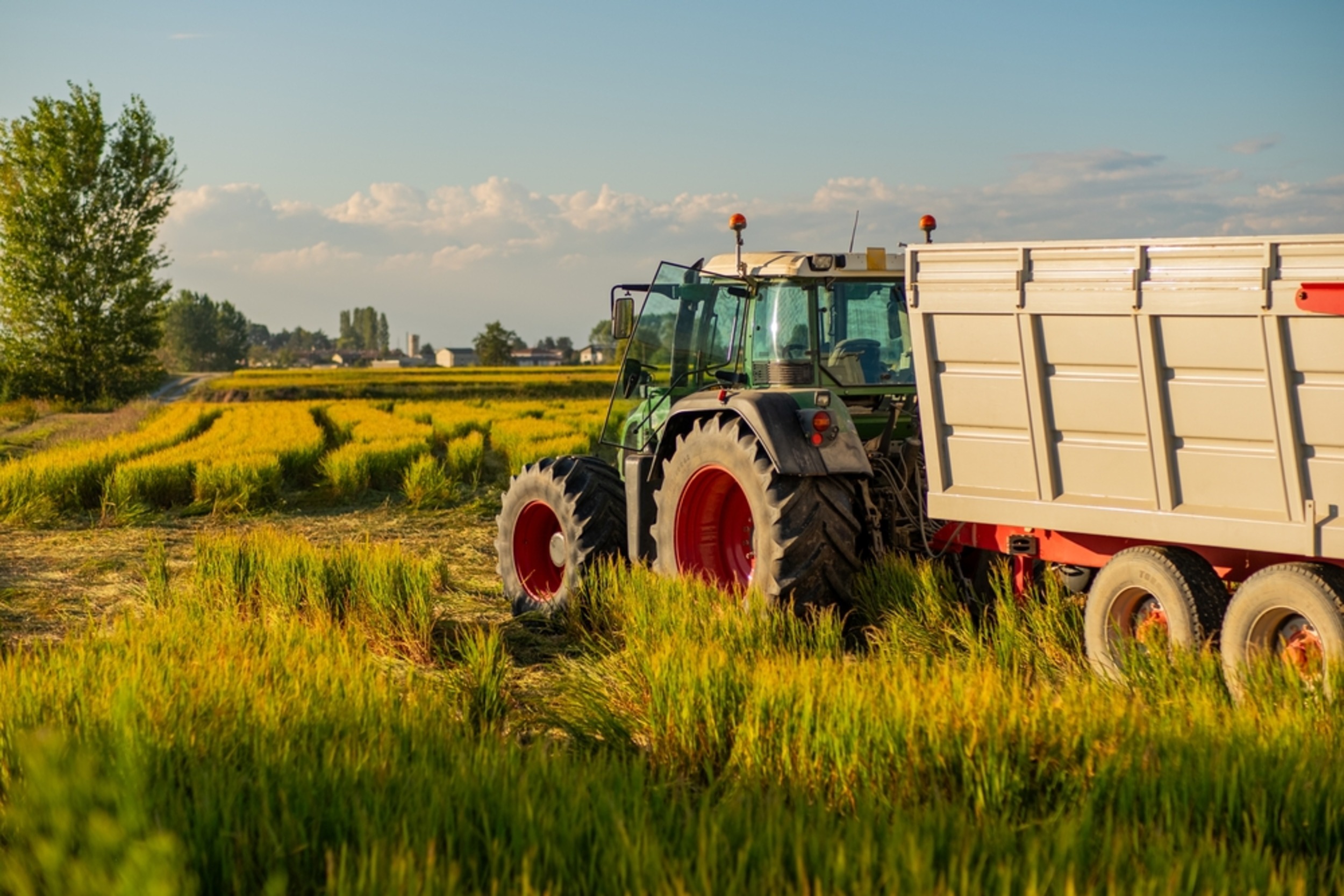 Farm runoff linked to uranium in groundwater