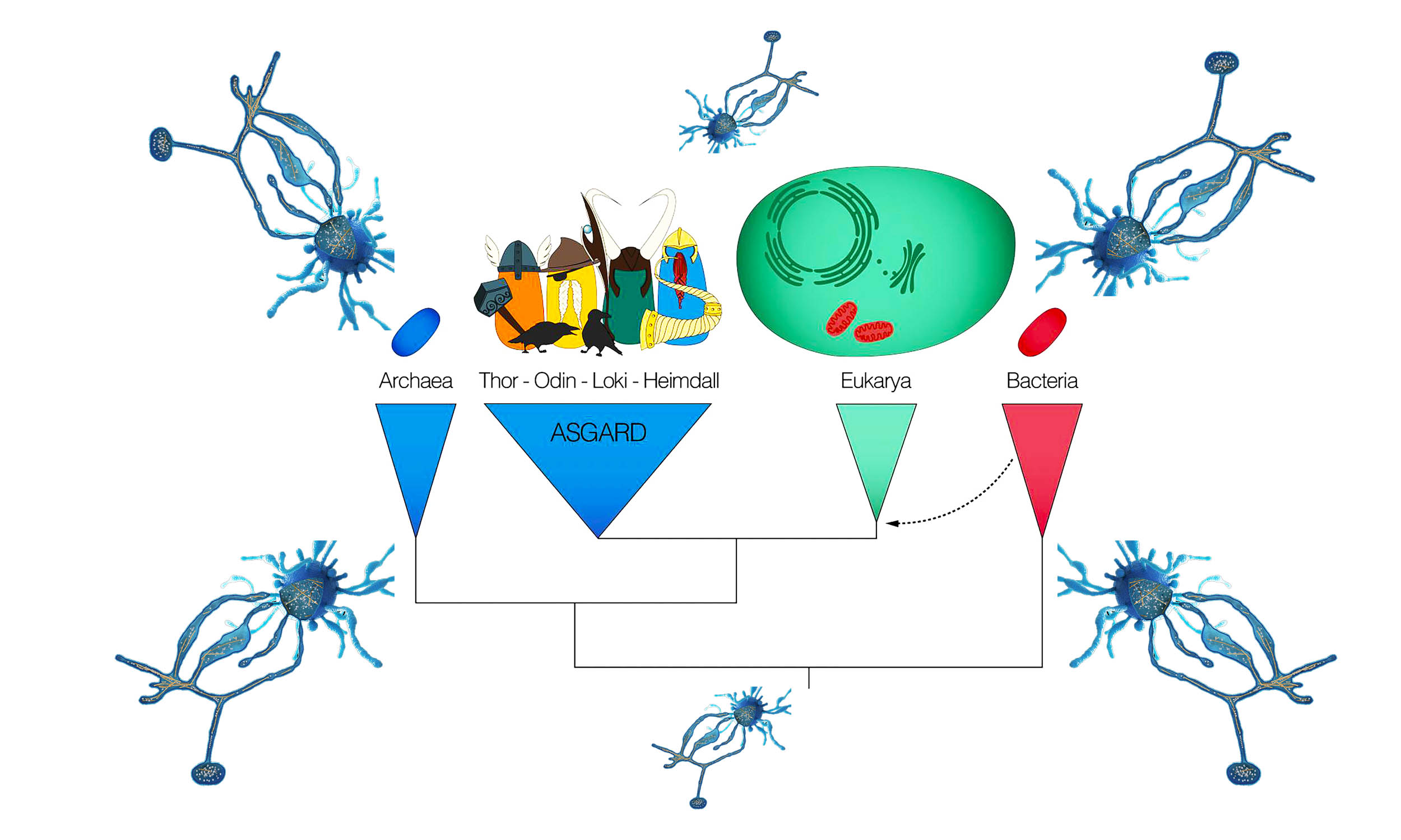 Humans and all life on Earth may have spawned from "Asgardians" - Earth.com