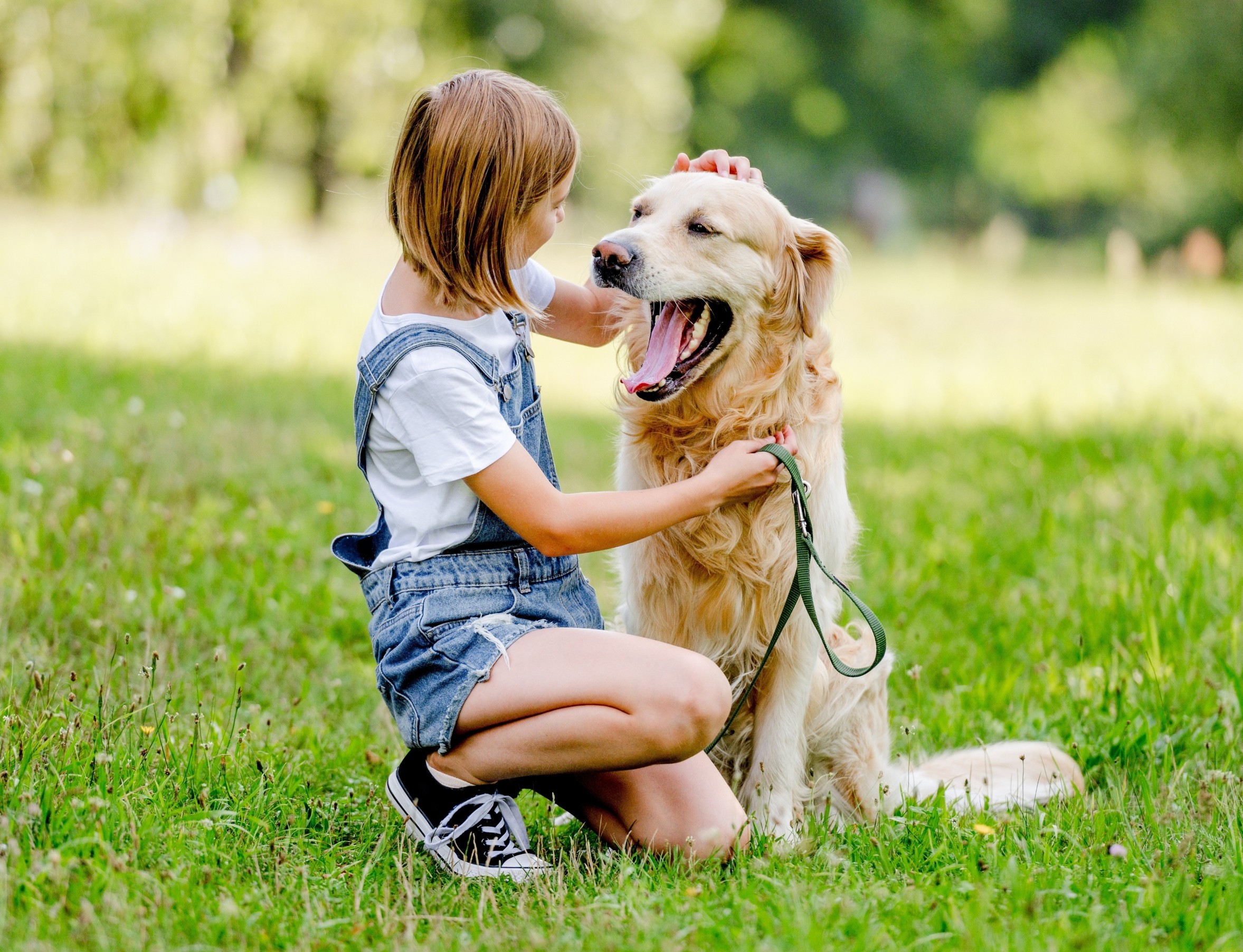 Нохой өсвөр насныхны сэтгэцийн эрүүл мэндийг сайжруулдаг уу?