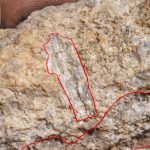 Lithium fever hits Africa: major deposit announced in Ivory Coast