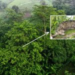 This spiny creature, Coendou vossi, found to be a new porcupine species