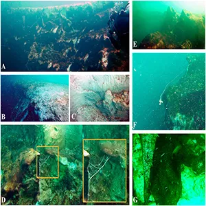 Insights into the morphological and biological features at the TJBH. (A, B) Entrance border at the southern wall of the blue hole surrounded by a flat limestone platform, which is part of the Chetumal Bay seabed. Credit: Frontiers
