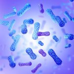 It's all in the gut: Why healthy foods work better for some people