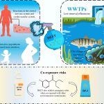 Main chemical used for insect repellant, DEET, is building up in the drinking water supply. Credit: Dalian Maritime University
