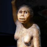 Fossil discovery reveals two human ancestors lived together 3.4 million years ago - Australopithecus afarensis and Australopithecus deyiremeda.