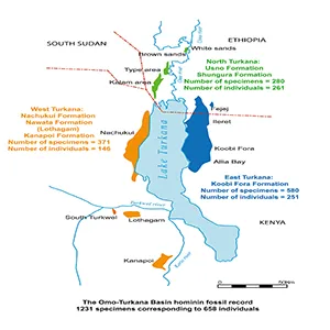 Map of the Omo-Turkana Basin showing the labeled geographical parts color coded for the western (orange), northern (green), and eastern (blue) areas. Summary counts of specimens and individuals are provided for each part. Credit: Journal of Human Evolution
