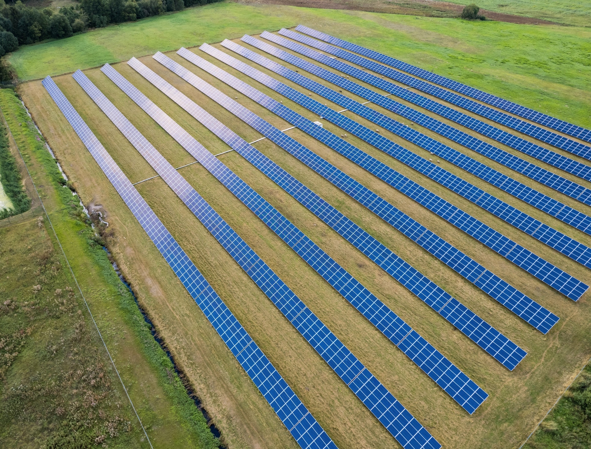 Delayed climate action may leave us with no solution