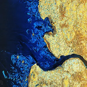 Image of the Elbe River delta and its surroundings captured by the Copernicus Sentinel-1D satellite. Those vibrant colors highlight different types of land cover such as urban areas, water bodies, and cultivated fields. Credit: ESA