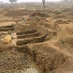 He went to work like any other day... and found a diamond weighing almost 12 carats that could change his life forever