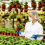 Plants use melatonin as a secret weapon - and it's not for sleep