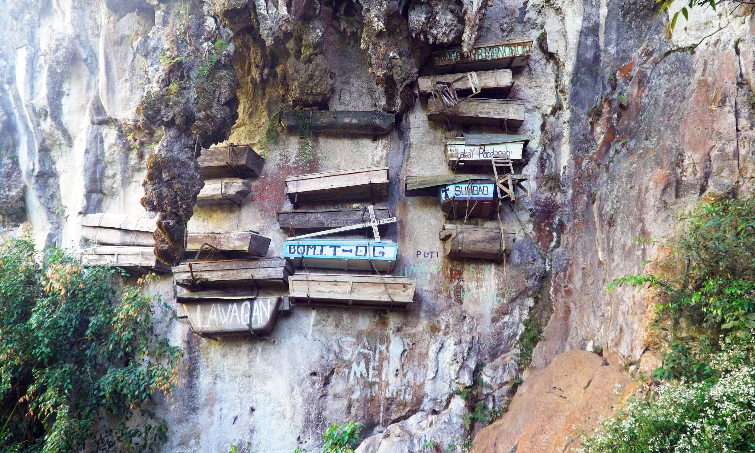 Hanging coffins conceal an epic story that scientists reconstructed from DNA