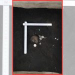 273 silver coins from the 11th century found hidden in a small ceramic container in a German forest