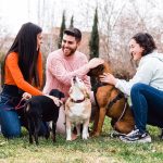 Dog owners feel more connected to their neighborhoods