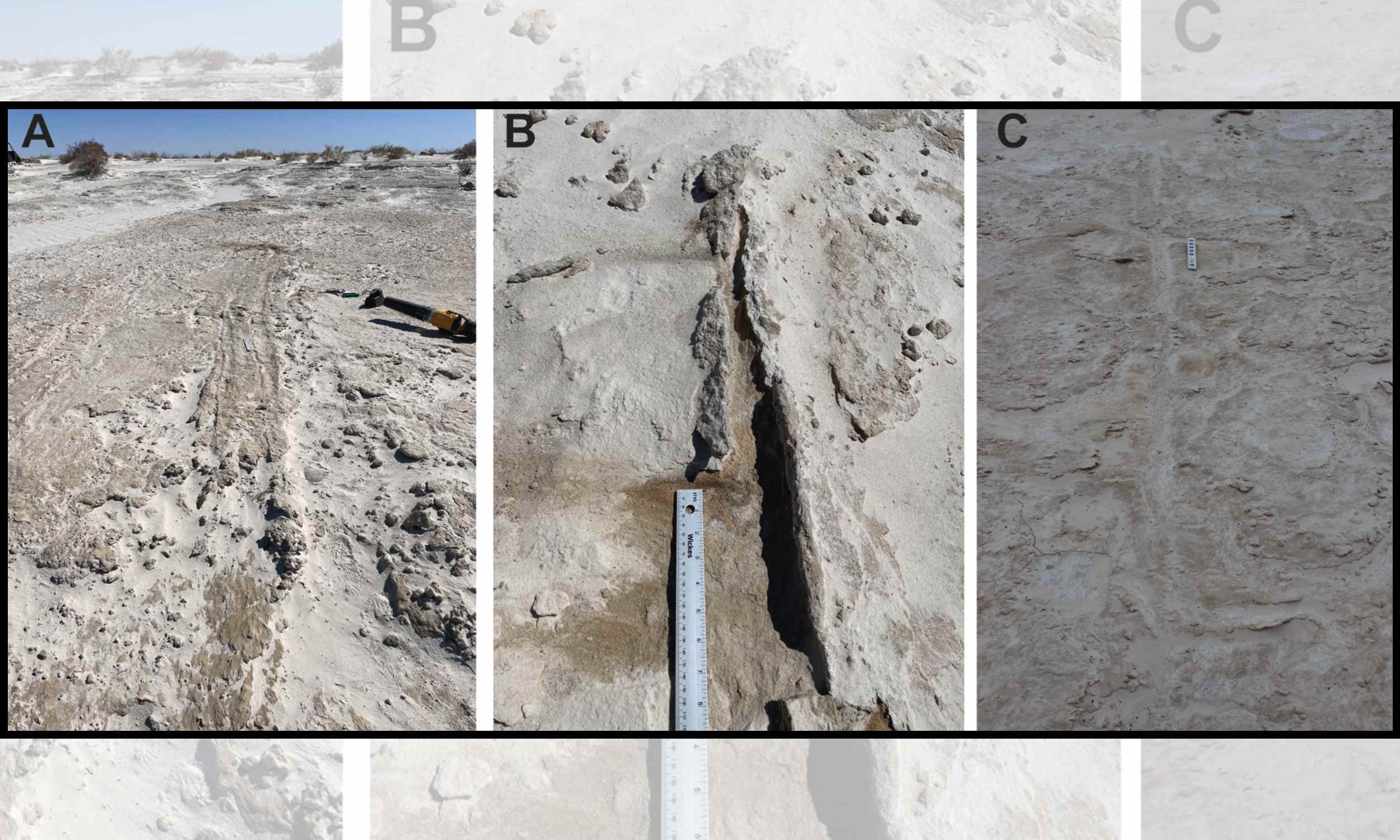 Human footprints, parallel tracks, and a 22,000-year-old mystery