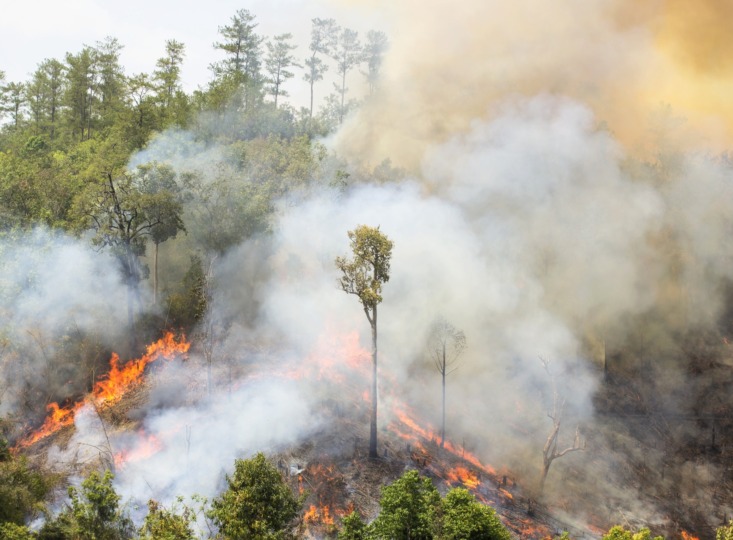 Hypertropics: The Amazon is crossing into a dangerous climate state