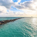 Ocean microbes find ways to survive nutrient scarcity