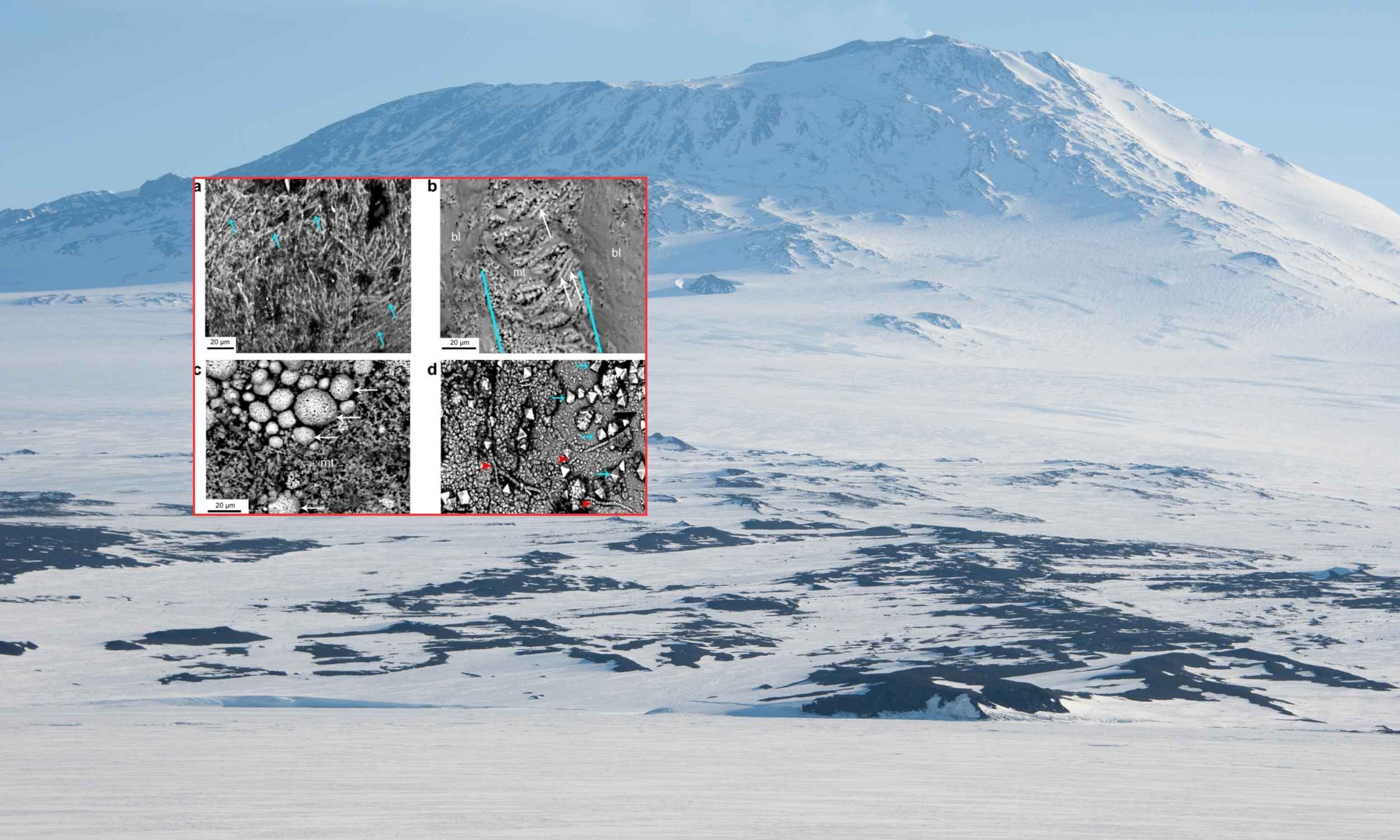 Enormous 68-million-year-old egg nicknamed 'The Thing' is excavated in Antarctica