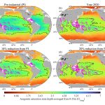 Earth's oceans have officially crossed another crucial planetary boundary. Credit: Global Change Biology