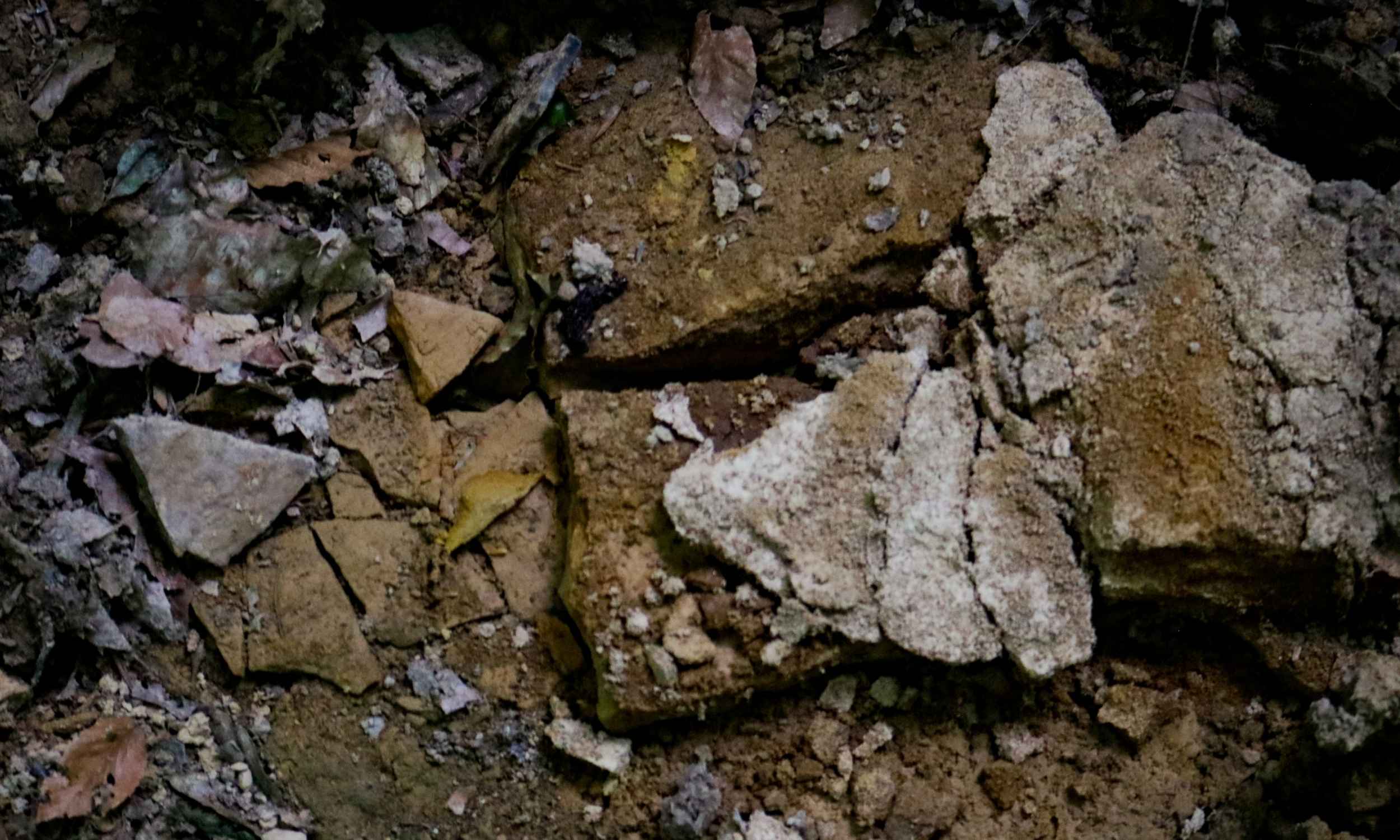 An almost inexhaustible reserve of lithium discovered in Canada