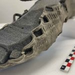 A hiker finds a 1,700-year-old shoe sticking out of the ice, and it turns out to be a leather sandal abandoned 1,700 years ago