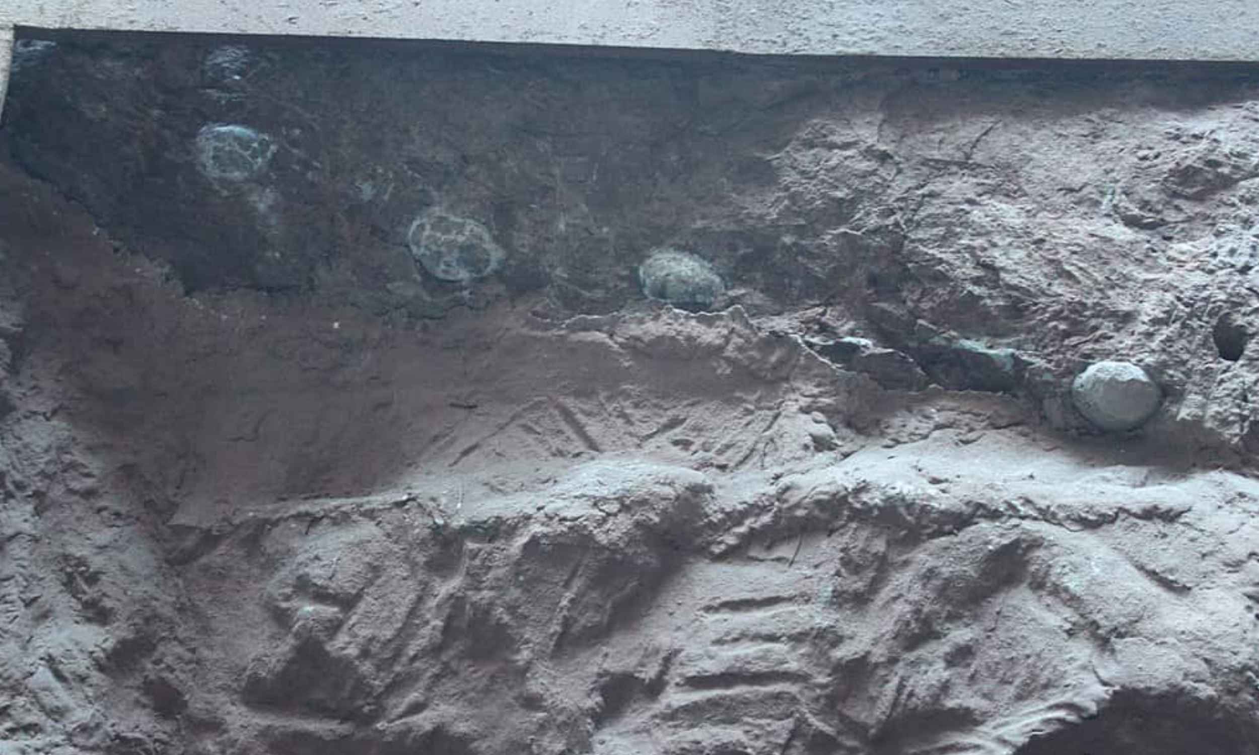 Dinosaur eggs the size of cannon balls are found filled with giant crystals