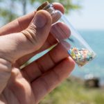 Plastic pollution has reached one of Earth’s most isolated insects