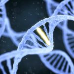 Scientists identify a gene that can directly cause mental illness