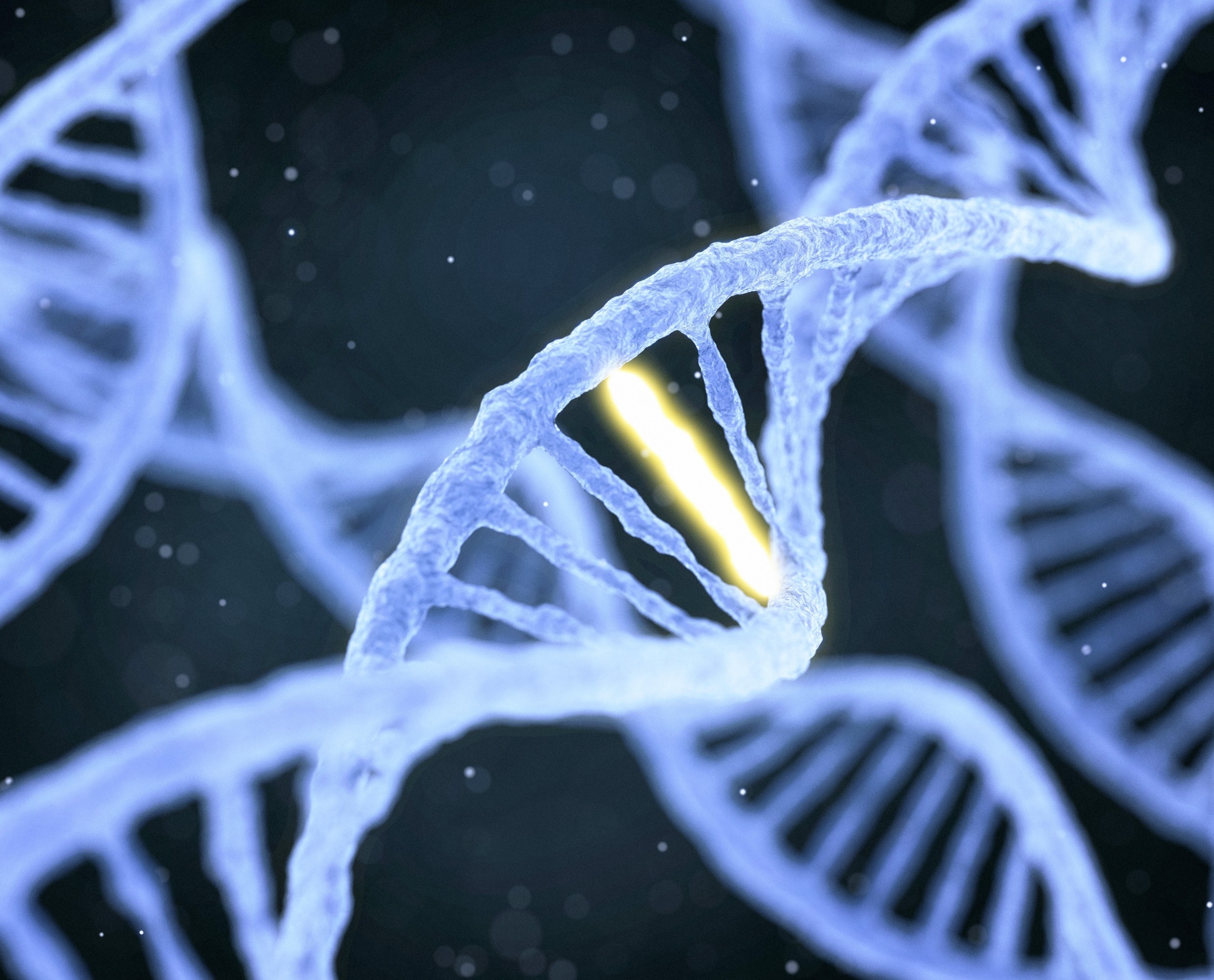 Scientists identify a gene that can directly cause mental illness