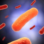 Microbes long seen as threats may actually help our health