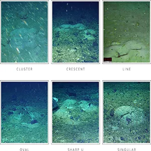 Patterns of cryonotothenioid nests from top left to bottom right; Cluster, Crescent, Line, Oval, Sharp U, and Singular nests. Credit: Frontiers in Marine Science