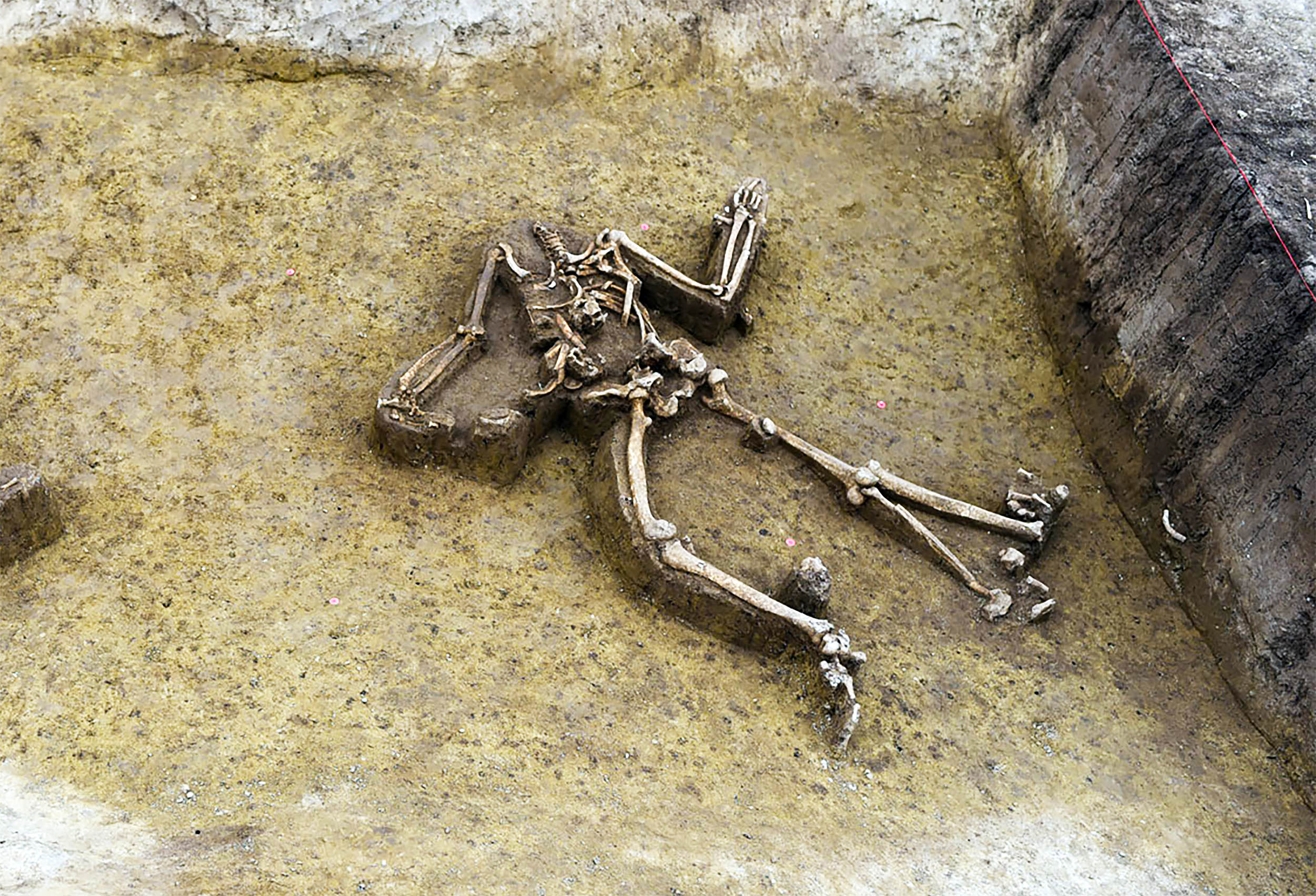 Headless skeletons point to a horrific and violent end for Europe's first farmers