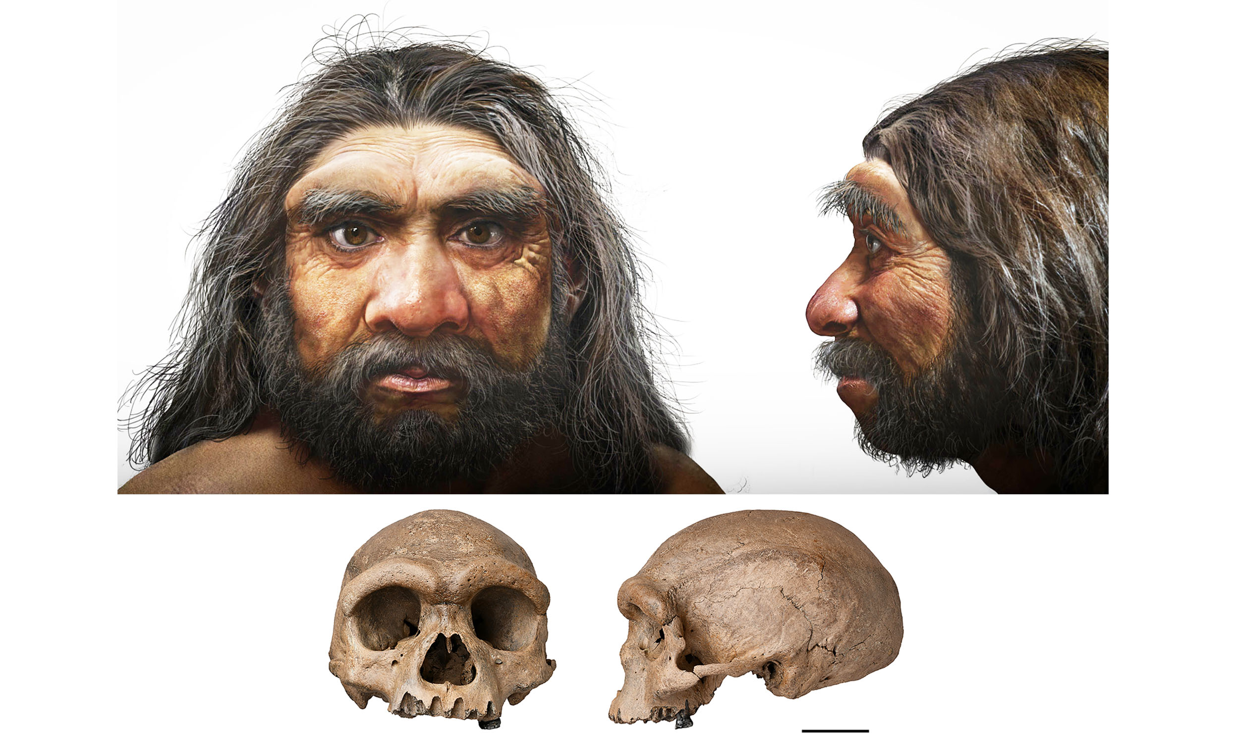 Fifteen years after discovering a new human, we finally know what they looked like